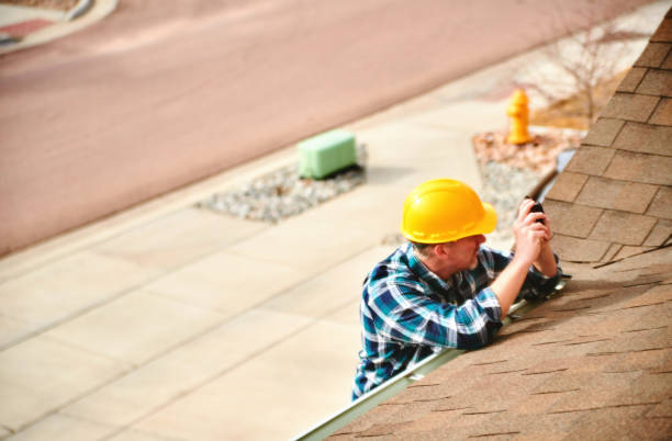 Best Roof Gutter Cleaning  in Frankfort Square, IL